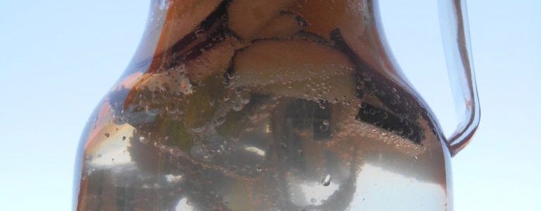 Rehydrate, stay alert and detox!